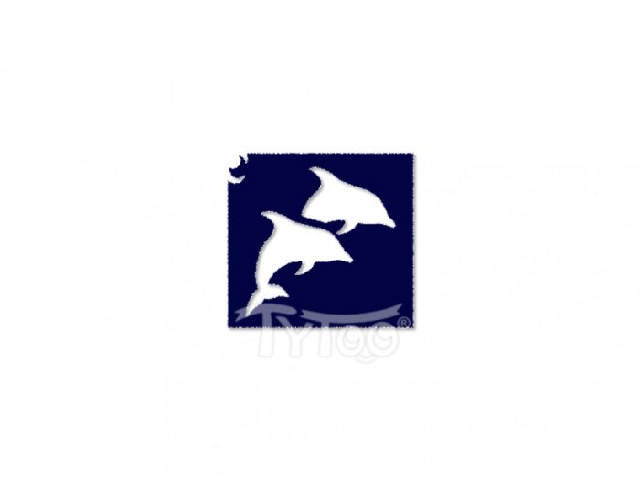 Testfestő minta sablon 5x5 Delfin CTSA-HA01