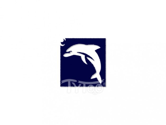 Testfestő minta sablon 5x5 Delfin CTSA-HA03