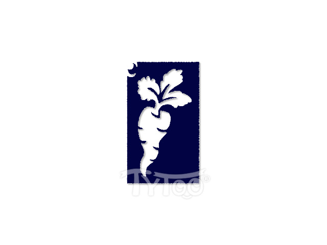 CTSA-OV67 - Testfestő minta sablon5x8 cm Répa