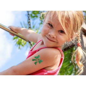 Csillámpor szett 3 x 2,5 ml Smaragdzöld